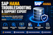 provide expert sap hana database consulting and support