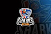 create fantastic wonderful shark logo design