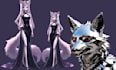 create custom vrchat avatar, vtuber model, with full rigging and face tracking