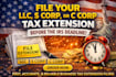 file extension for llc, s corp, and c corp