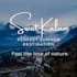 create professional canva graphic design
