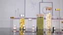 food scientist, recipe development, supplement formulation