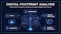 conduct a professional osint investigation