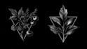 create a unique botanical hand drawn logo