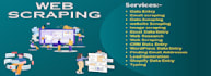 do data entry, web scraping, copy pase data entry