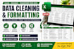 do data cleaning and formatting in excel professionally