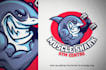 do modern creative awesome shark logo