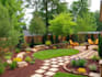 a harmonious landscape backyard design as a landscape architect