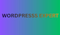 create or build a wordpresss website  landing page using elementor pro
