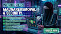 remove malware and viruses from your wordpress website in 24 hours