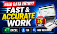 do data entry, copy paste, excel work and web research
