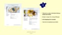 design custom meal plans for weight management