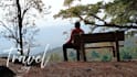 professional graphics and templates in canva
