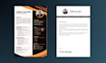craft an infographic, style canva resumes