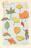 create customized pattern illustration