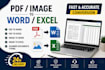 excel data entry expert