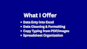 do fast and accurate excel data entry and spreadsheet management