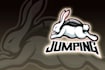 do high quality modern attractive rabbit logo
