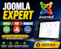 build fix and migrate your joomla website professionally