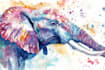 illustrate anything in watercolor style