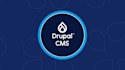 fix drupal issues for free