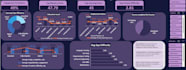 design a professional excel dashboard and data analytics tool