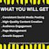 manage your social media accounts professionally