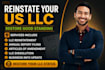 reinstate your inactive US llc and restore your good standing