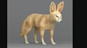 clean 3d scan, fix mesh, retopologize, uvunwrap bake textures and optimize model