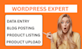 do wordpress data entry blog post woocommerce product listing article upload