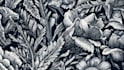 illustrate botanical and linocut c