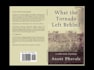 beta read your book