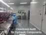 provide pre shipment audit with process, msa, fai review
