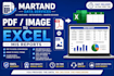convert PDF or image to excel and create clean mis reports