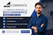 design, develop and customize a high converting bigcommerce store
