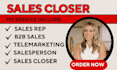 be high ticket sales closer online sales representative salesperson b2b sales