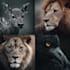 draw all kinds of animals