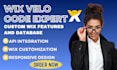 develop wix velo website, custom wix code, wix database and dynamic pages