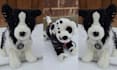 create stuff animal plush pattern toy cute character handcrafted