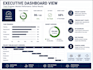 create a professional project management PPT template