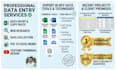 do professional data entry, copy paste and web research