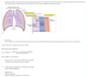 simplify complex medical topics and create study notes