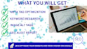 do website audit and optimization with on page and technical SEO