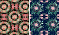 create hand drawn botanical and floral seamless patterns