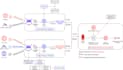 redraw, recreate, or convert any diagram into visio, draw io