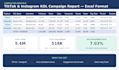 provide tiktok and instagram kol performance analytics report in excel