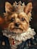 do a custom pet portrait, dog portrait, cat portrait