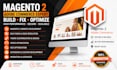 build fix and optimize magento 2 adobe commerce website