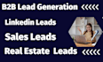 do lead generation sales leads data mining b2b leads database data entry