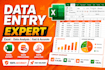 data entry, data analysis, excel dashboard, and spreadsheet tasks